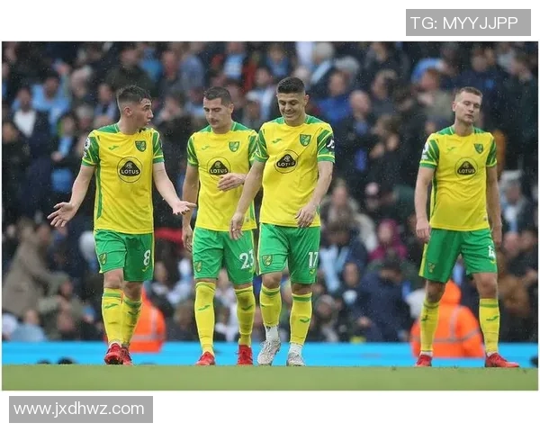 诺维奇足球明星阵容全解析及精彩瞬间图片分享